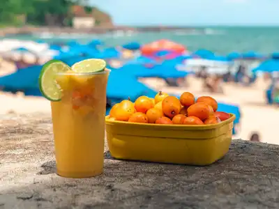 Fruta amarela do Cerrado: pequi, cagaita, mangaba e outras joias nativas