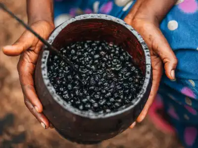 Muito Além do Açaí: 7 Frutas Exóticas Brasileiras que Você Precisa Provar